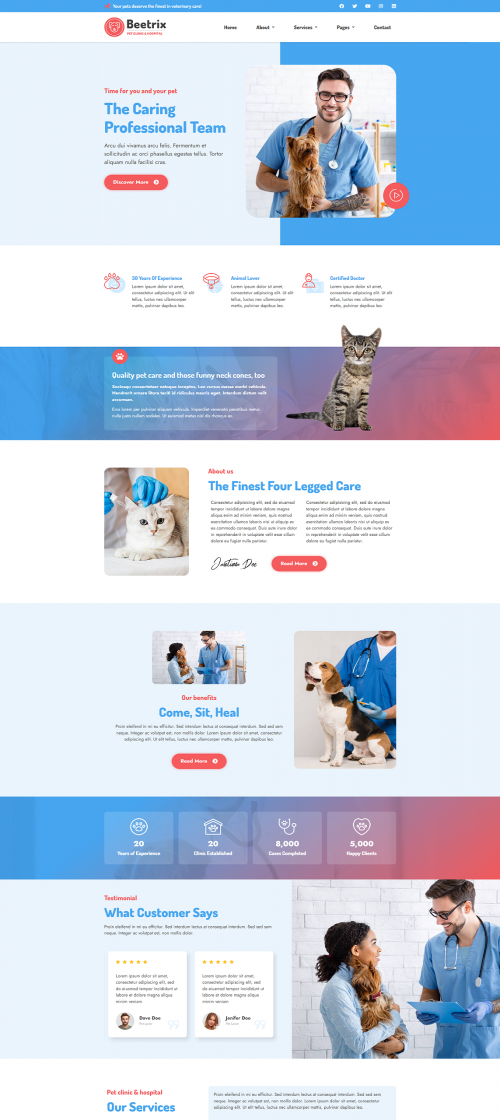 website 6